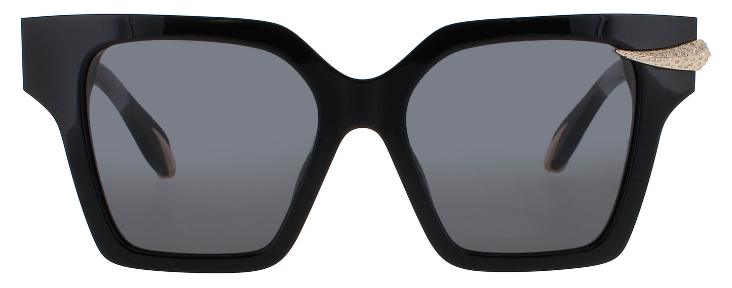 SRC002S-700Y
