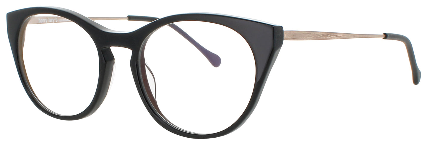 HARRY LARY MODERNITY Frame BLACK Lens DEMO