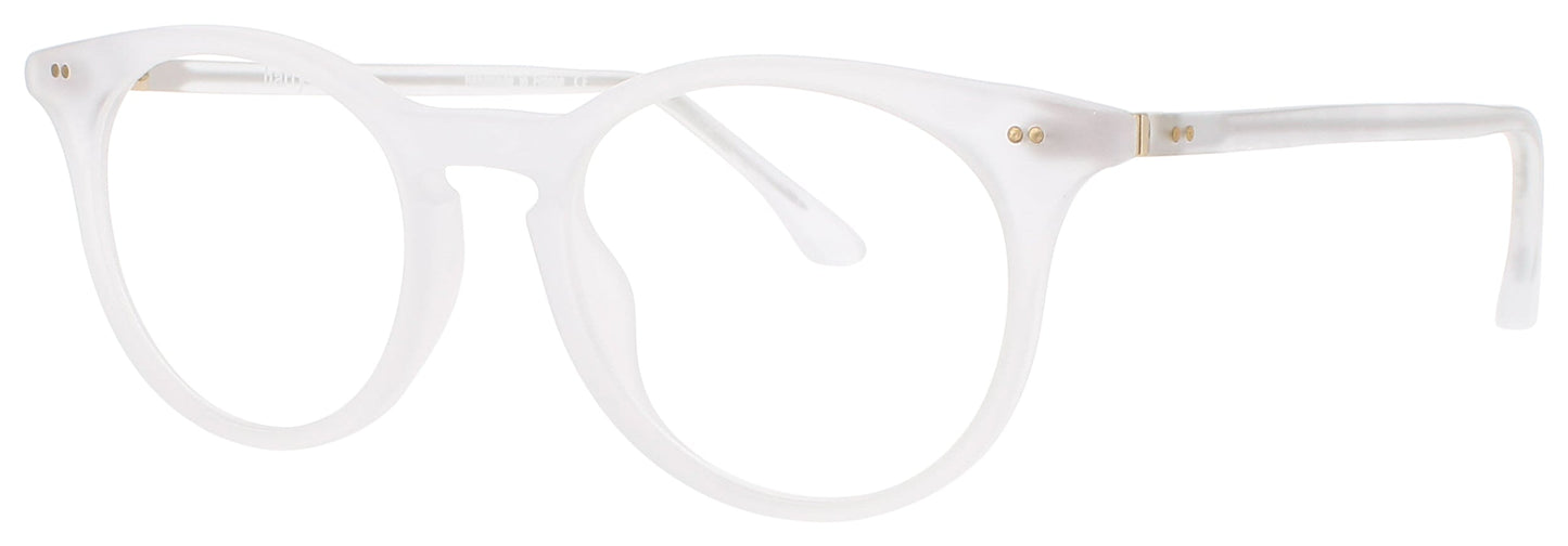 HARRY LARY FRENZY Frame CLEAR/MATTE Lens DEMO