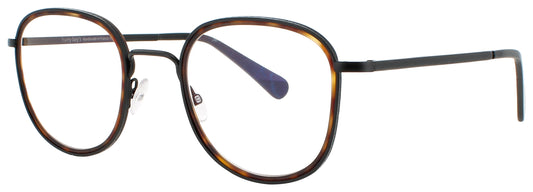 HARRY LARY PHONY Frame BLACK/TORTOISE Lens DEMO