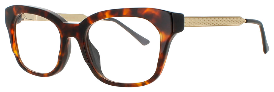 HARRY LARY ROOMY Frame TORTOISE Lens DEMO