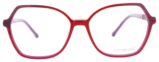 LONG-EXPERIENCE-CV216.02-09