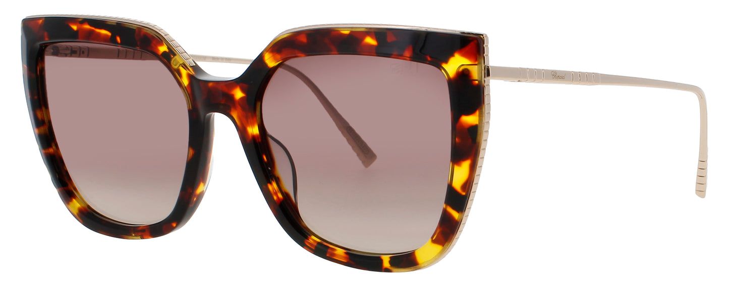 CHOPARD SCH319M Frame HAVANA Lens BROWN GRADIENT