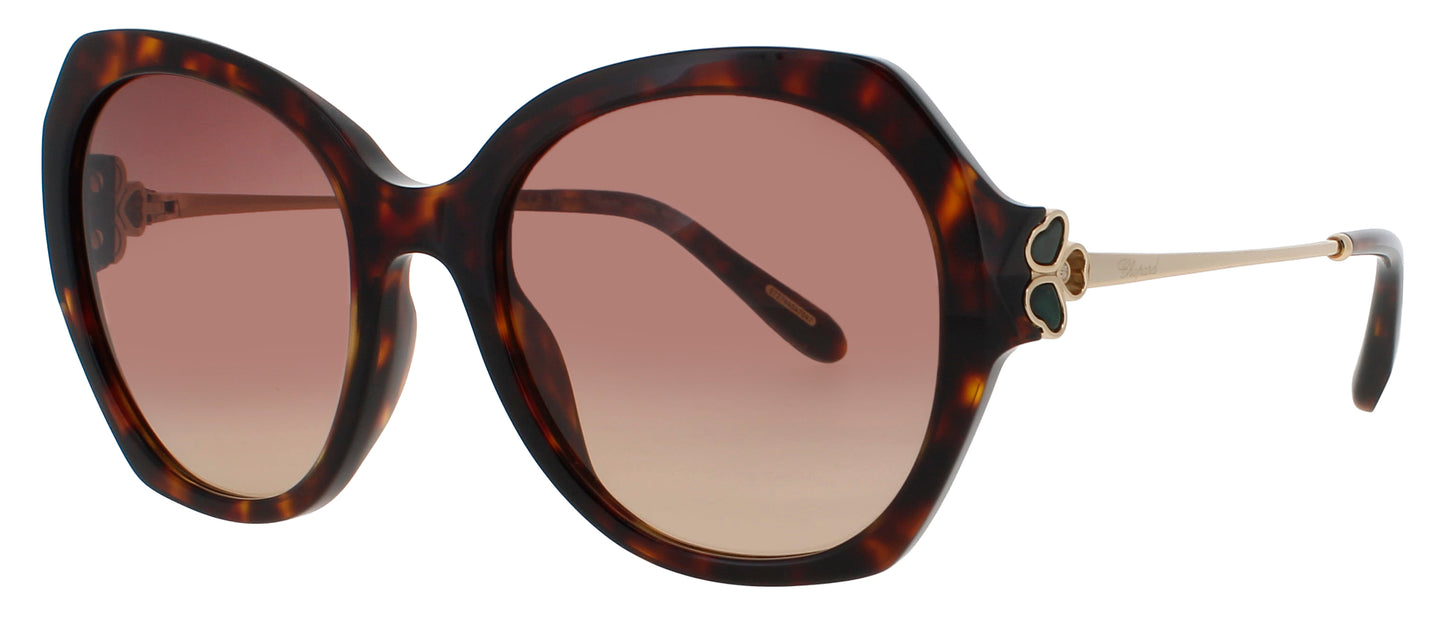 CHOPARD SCH354V Frame BROWN/YELLOW/HAVANA Lens BROWN GRADIENT