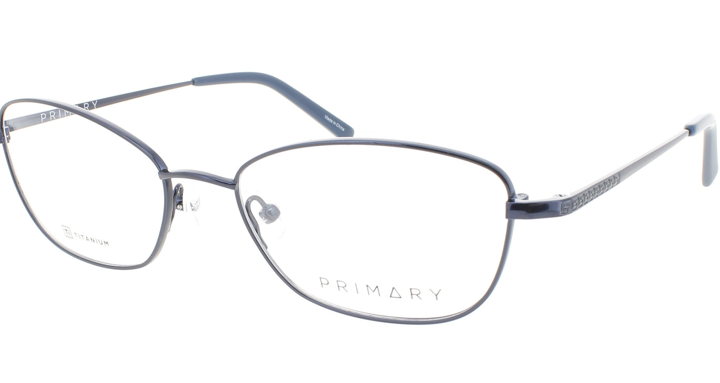 PRIMARY Pt105 Frame Navy Lens DEMO