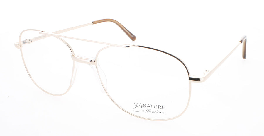 SIGNATURE Pn100 Frame GOLD Lens DEMO