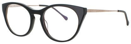 HARRY LARY MODERNITY Frame BLACK Lens DEMO