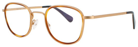 HARRY LARY ROASTY Frame GOLD/BROWN Lens DEMO