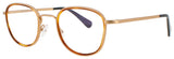HARRY LARY ROASTY Frame GOLD/BROWN Lens DEMO