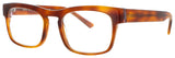 HARRY LARY CONFORMITY Frame BROWN Lens DEMO