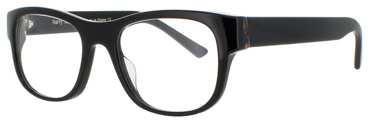 HARRY LARY SUPPORTY Frame BLACK Lens DEMO