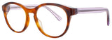 HARRY LARY SYMBOLY Frame BROWN/PURPLE Lens DEMO