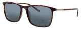 JAGUAR JG37203 Frame MATTE BROWN Lens DARK SMOKE