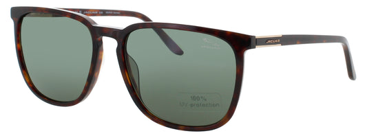JAGUAR JG37205 Frame MATTE BROWN Lens DARK GREEN