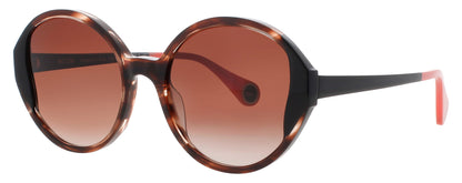 WOOW SUPER-SKY-1 Frame BROWN HORN Lens BROWN GRADIENT