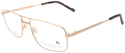 PIERRE CARDIN PC 6881 Frame GOLD Lens DEMO