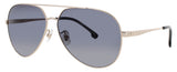 CARRERA 3005/S Frame GOLD / BLACK Lens GREY GRADIENT