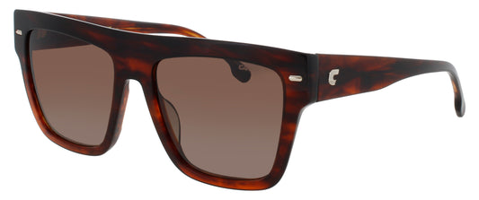 CARRERA 3016/S Frame BROWN HORN Lens BROWN GRADIENT