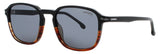 CARRERA 328/S Frame BLACK HAVANA Lens SMOKE