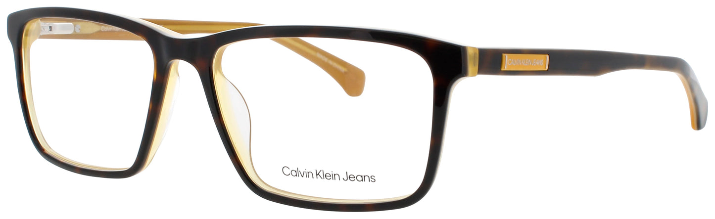 CALVIN KLEIN JEANS CKJ301 Frame HONEY TORTOISE Lens DEMO