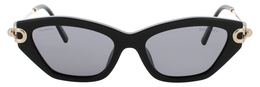 TF4231U-800181