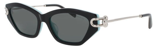 TIFFANY & CO TF4231U Frame BLACK ON TIFFANY BLUE Lens SMOKE