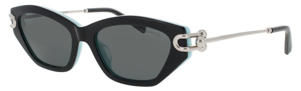 TIFFANY & CO TF4231U Frame BLACK ON TIFFANY BLUE Lens SMOKE