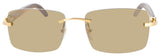 CT0012RS-001