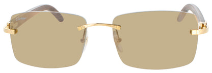 CT0012RS-001