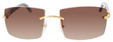 CT0021RS-001