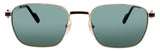CT0497S-008