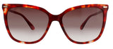 CK22532S-609