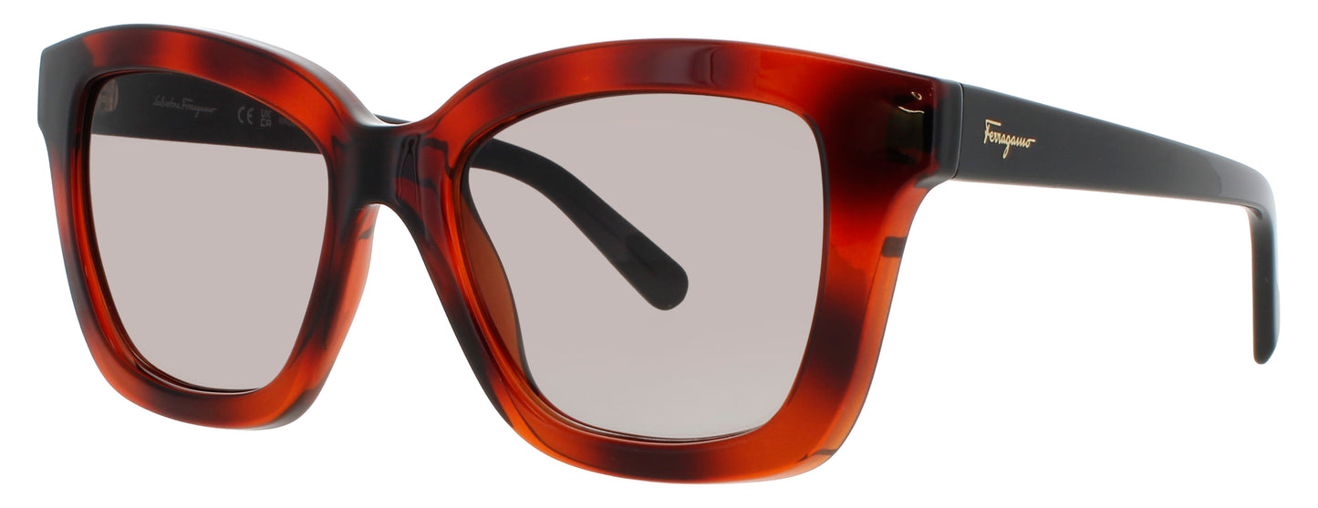 SALVATORE FERRAGAMO SF955S Frame TORTOISE Lens BROWN GRADIENT