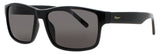 SALVATORE FERRAGAMO SF960S Frame BLACK Lens GREY TINT
