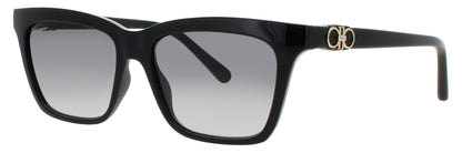 SALVATORE FERRAGAMO SF1027S Frame BLACK Lens GRADIENT GREY