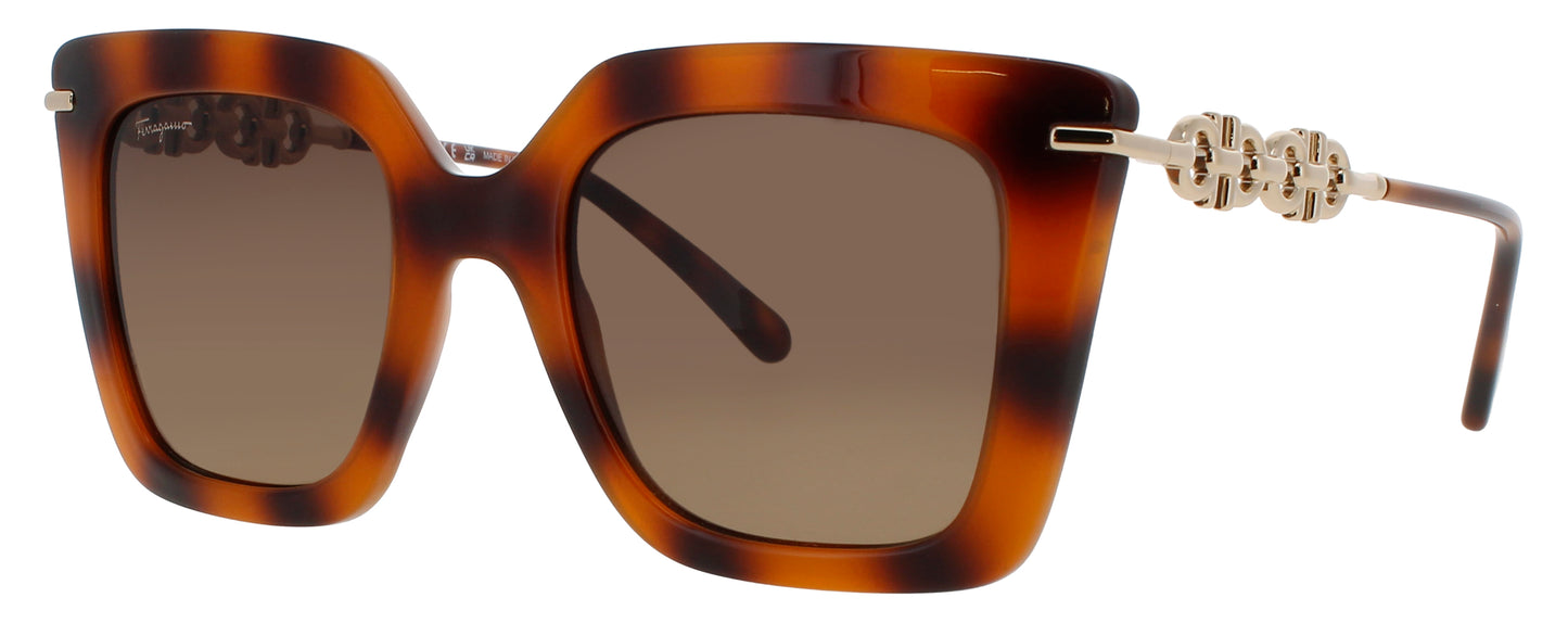 SALVATORE FERRAGAMO SF1041S Frame HAVANA Lens BROWN GRADIENT