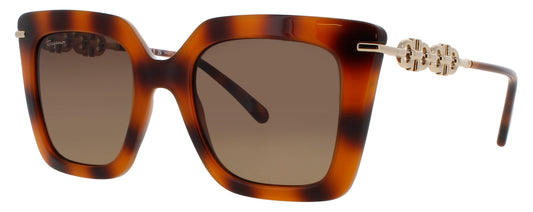 SALVATORE FERRAGAMO SF1041S Frame HAVANA Lens BROWN GRADIENT