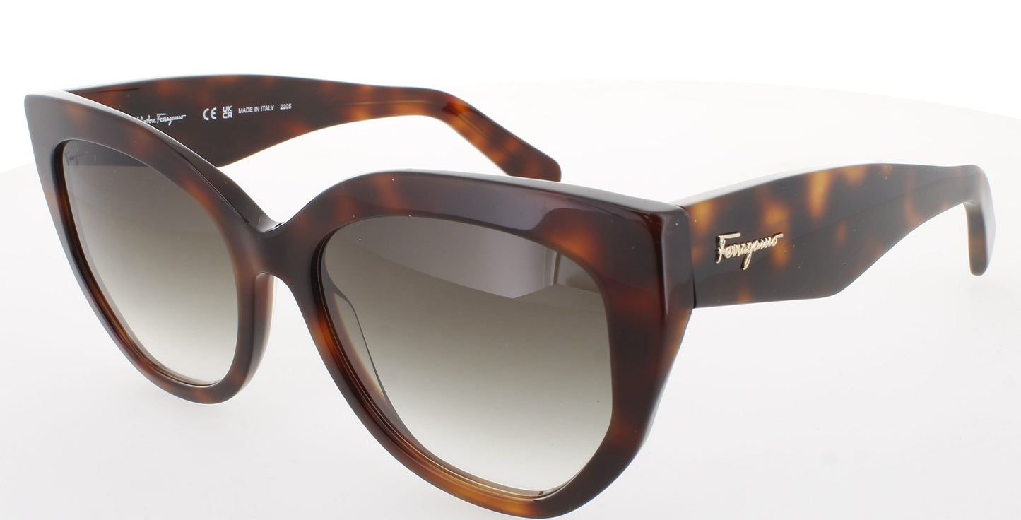 SALVATORE FERRAGAMO SF1061S Frame TORTOISE Lens BROWN GRADIENT