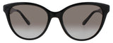 SF1073S-001