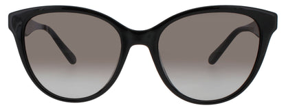 SF1073S-001