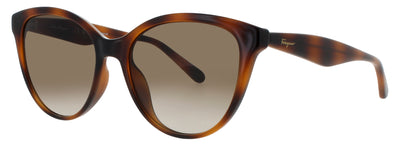 SALVATORE FERRAGAMO SF1073S Frame TORTOISE Lens BROWN GRADIENT