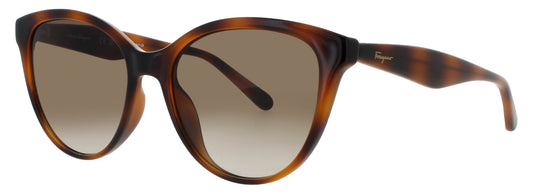 SALVATORE FERRAGAMO SF1073S Frame TORTOISE Lens BROWN GRADIENT