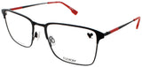 FLEXON E1131 Frame MATTE BLACK Lens DEMO