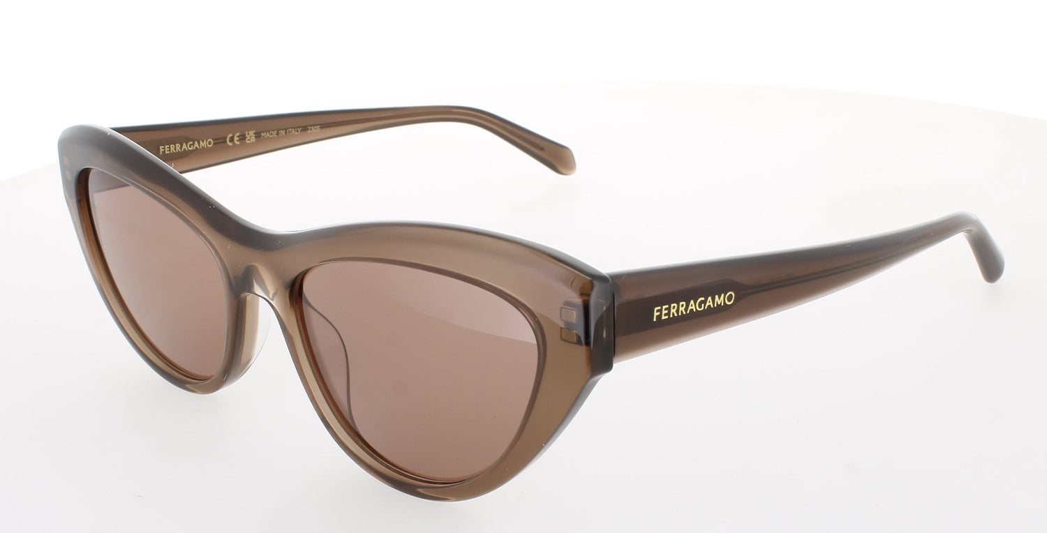 SALVATORE FERRAGAMO SF1103S Frame TRANSPARENT BROWN Lens BROWN