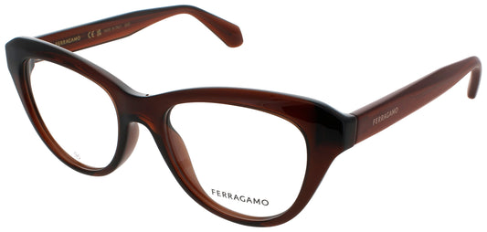 SALVATORE FERRAGAMO SF2989E Frame TRANSPARENT BROWN Lens DEMO