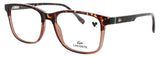 LACOSTE L4002 Frame HAVANA / COGNAC Lens DEMO