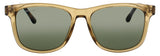 L6060S-N-264
