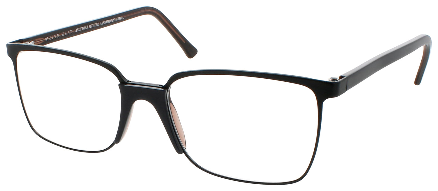 ANDY WOLF ROBINSON Frame BLACK Lens DEMO
