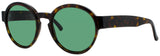 ANDY WOLF ELEVATION Frame TURTLESHELL Lens GREEN