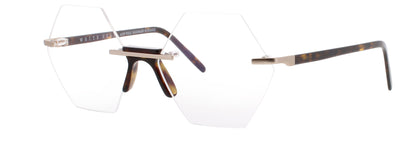 ANDY WOLF TRISTAN Frame BROWN Lens DEMO